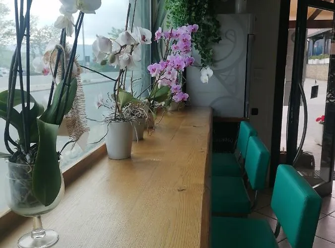 酒店 Le 2 Rose 新塞韦里诺马尔凯